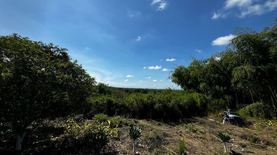 Lote en venta en Morelia, Pereira, 20800 m² · foto 8 de 9