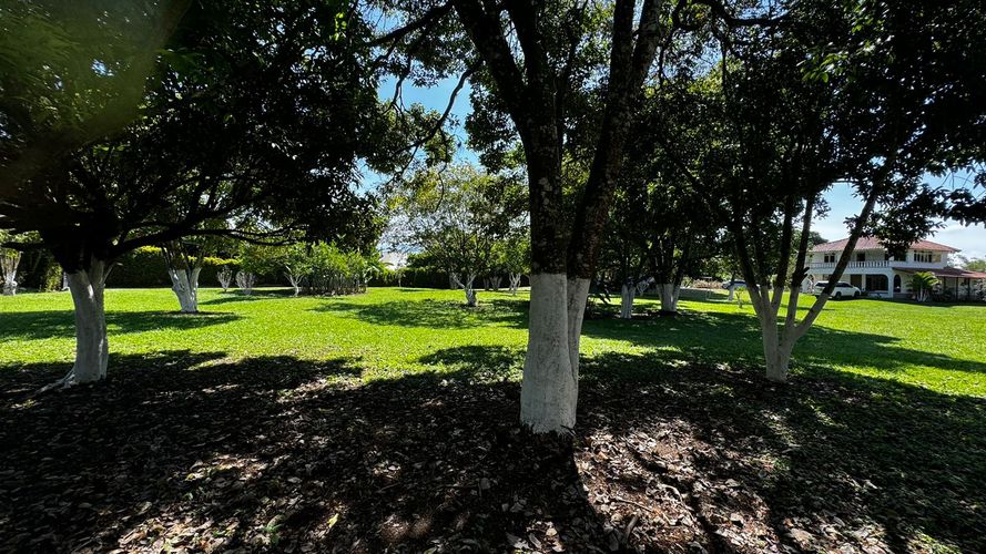 Lote en venta en Morelia, Pereira, 20800 m² · foto 9 de 9