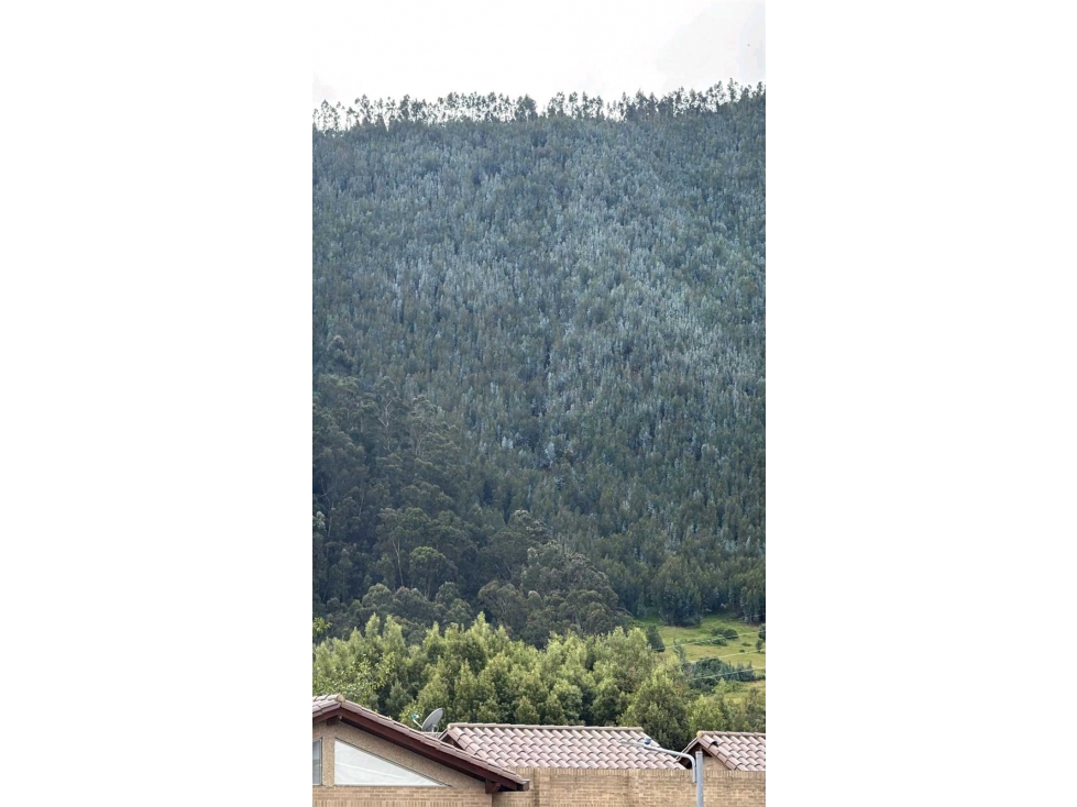 Casa en venta en Chuntame, Cajicá · foto 11 de 20