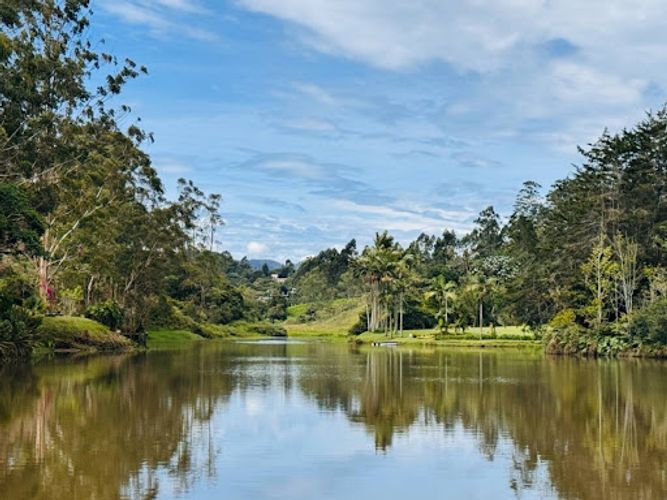 Finca en venta en El Carmen De Viboral, El Carmen de Viboral, 159 m² · foto 20 de 24