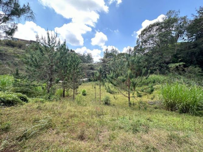 Finca en venta en El Carmen, El Retiro, 300 m² · foto 11 de 16