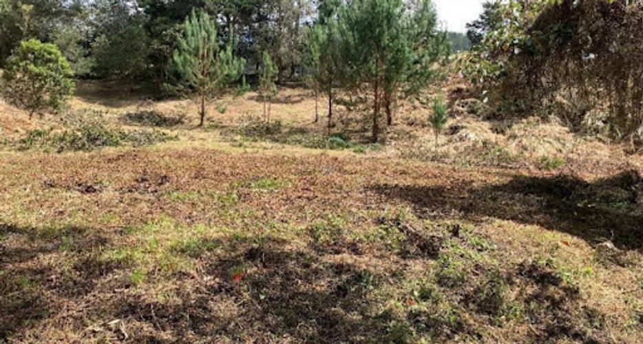 Finca en venta en El Carmen, El Retiro, 300 m² · foto 14 de 16
