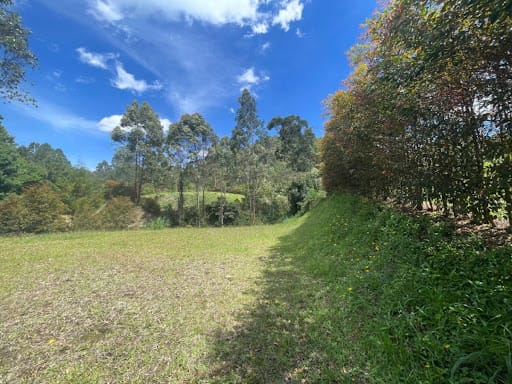 Lote en venta en El Carmen, El Retiro, 1883 m² · foto 4 de 19