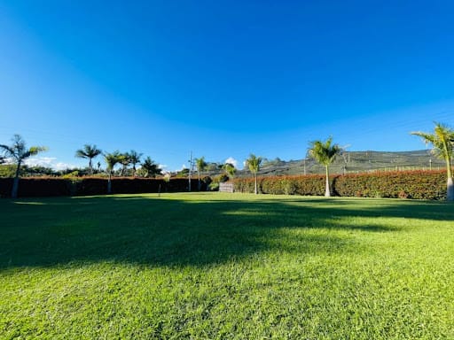 Lote en arriendo en El Carmen De Viboral, El Carmen de Viboral, 100 m² · foto 5 de 10