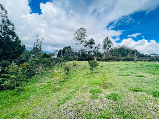 Lote en venta en San Nicolas, La Ceja, 2500 m² · foto 6 de 18