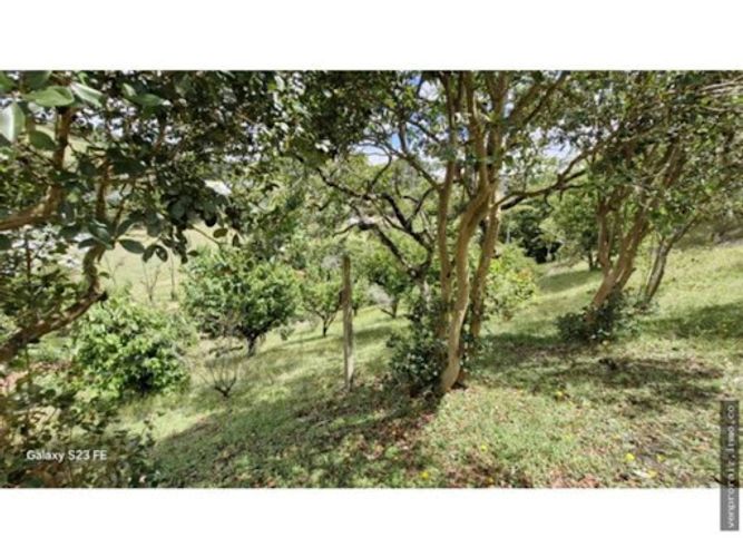 Finca en venta en El Carmen, El Retiro, 400 m² · foto 11 de 14