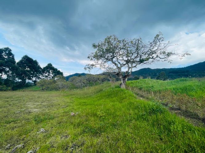 Lote en venta en San Nicolas, La Ceja, 2500 m² · foto 4 de 12