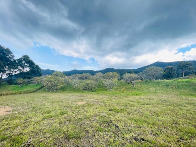 Lote en venta en San Nicolas, La Ceja, 2500 m² · foto 5 de 12