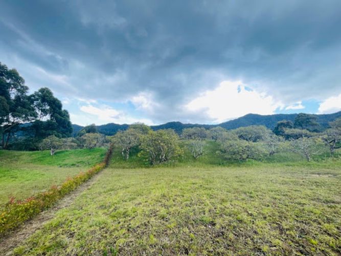 Lote en venta en San Nicolas, La Ceja, 2500 m² · foto 6 de 12