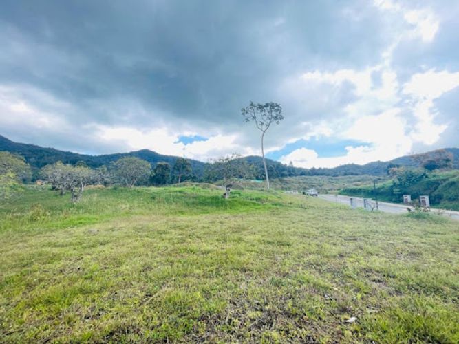 Lote en venta en San Nicolas, La Ceja, 2500 m² · foto 8 de 12