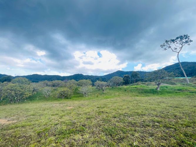 Lote en venta en San Nicolas, La Ceja, 2500 m² · foto 9 de 12