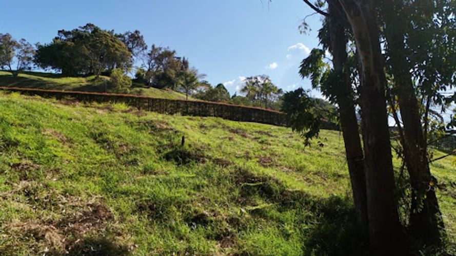 Lote en venta en El Carmen De Viboral, El Carmen de Viboral, 2500 m² · foto 5 de 9