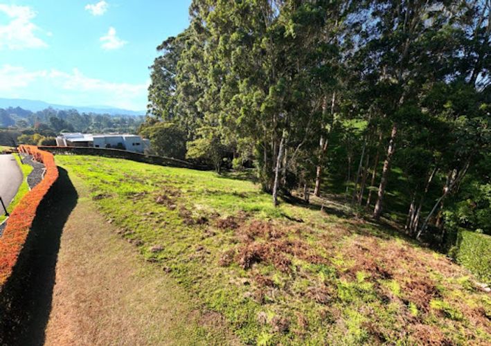 Lote en venta en El Carmen De Viboral, El Carmen de Viboral, 2500 m² · foto 7 de 9