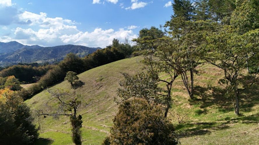 Lote en venta en San Nicolas, La Ceja, 4674 m² · foto 7 de 11