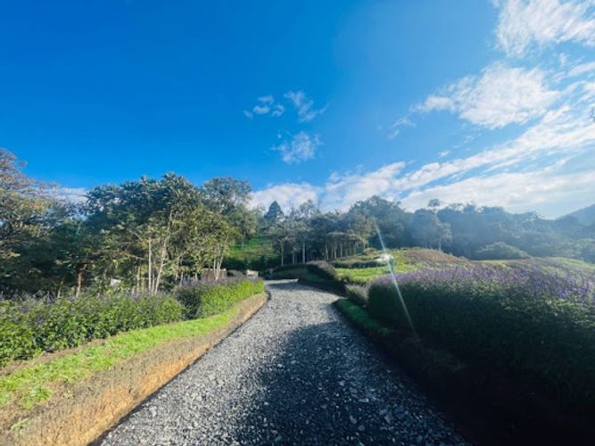 Lote en venta en San Nicolas, La Ceja, 5718 m² · foto 2 de 6