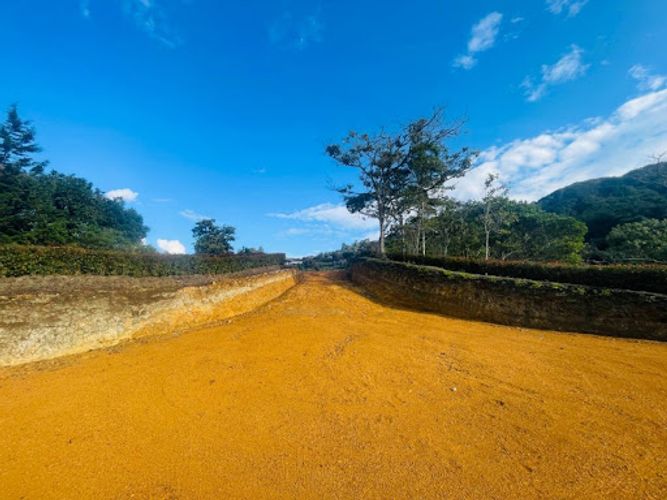 Lote en venta en San Nicolas, La Ceja, 5718 m² · foto 4 de 6