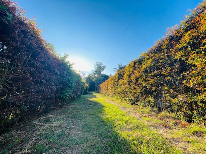 Lote en venta en San Nicolas, La Ceja, 150 m² · foto 9 de 12