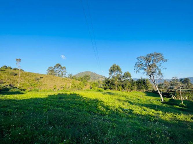Lote en venta en San Nicolas, La Ceja, 150 m² · foto 11 de 12