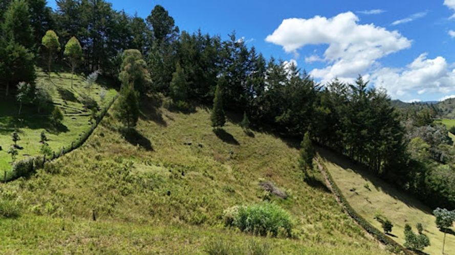 Lote en venta en El Chuscal, El Retiro, 5000 m² · foto 4 de 8