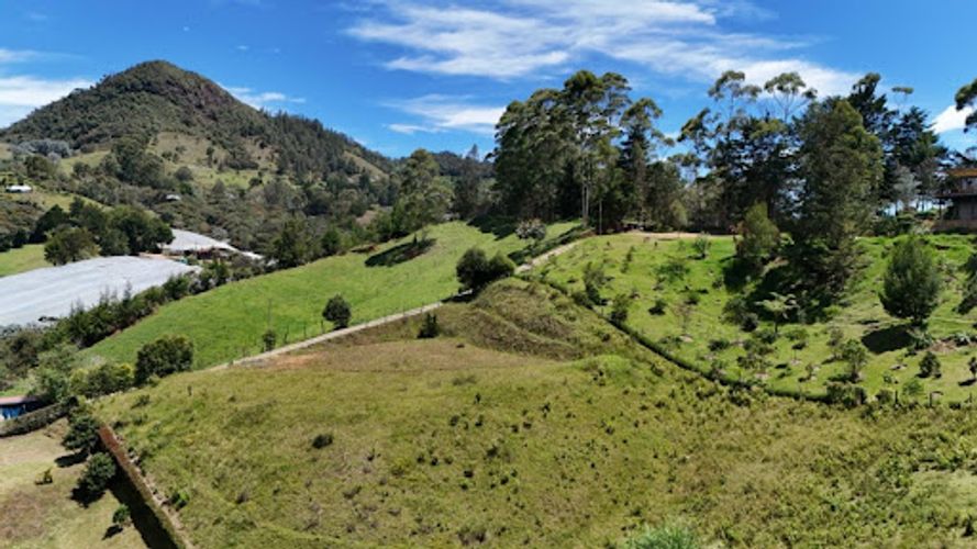 Lote en venta en El Chuscal, El Retiro, 5000 m² · foto 5 de 8