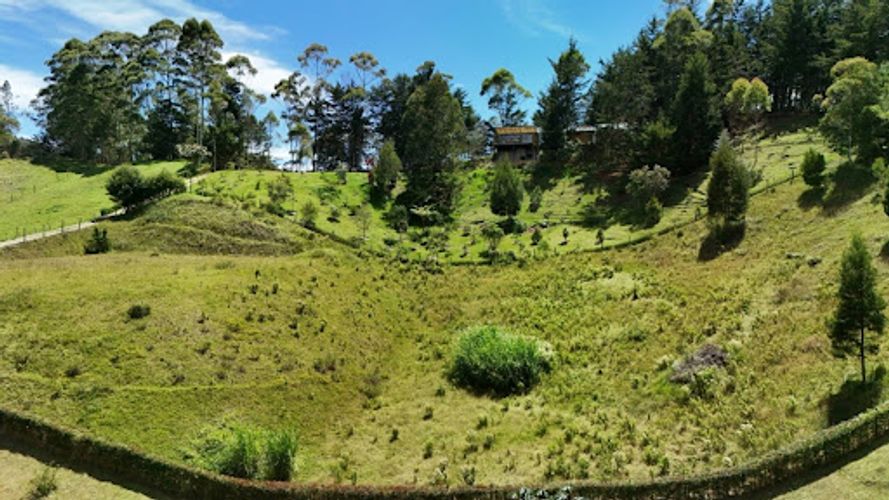 Lote en venta en El Chuscal, El Retiro, 5000 m² · foto 7 de 8