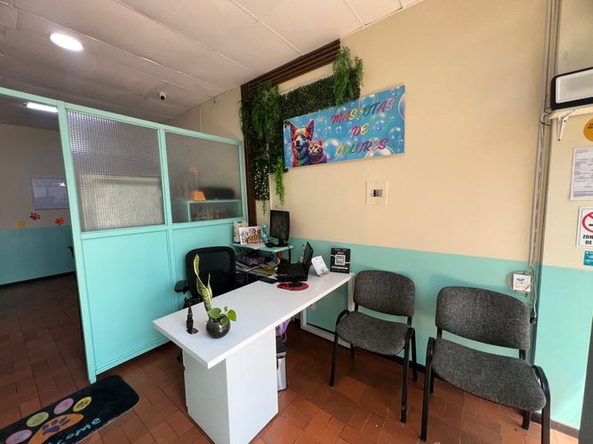 Local en arriendo en Los Colores, Medellín, 35 m² · foto 7 de 20