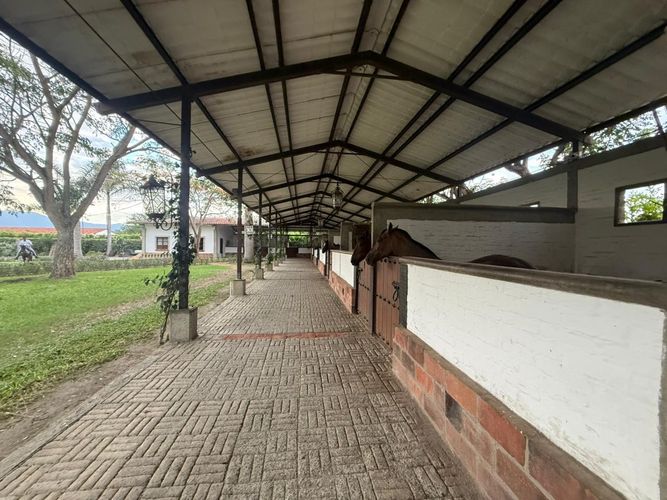 Finca en venta en Rozo, Palmira, 5650 m² · foto 7 de 24