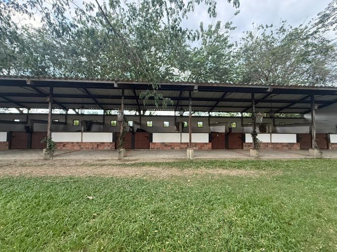 Finca en venta en Rozo, Palmira, 5650 m² · foto 8 de 24
