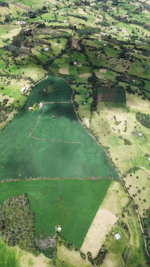 Finca en venta en Maldonado, Tunja, 89600 m² · foto 3 de 14