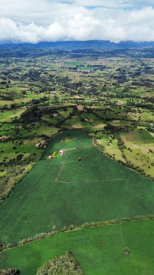 Finca en venta en Maldonado, Tunja, 89600 m² · foto 12 de 14