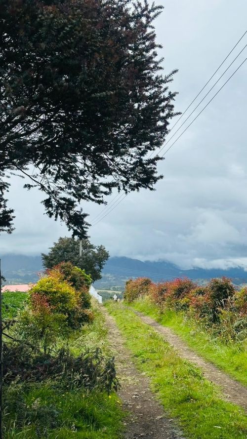 Finca en venta en Maldonado, Tunja, 89600 m² · foto 13 de 14