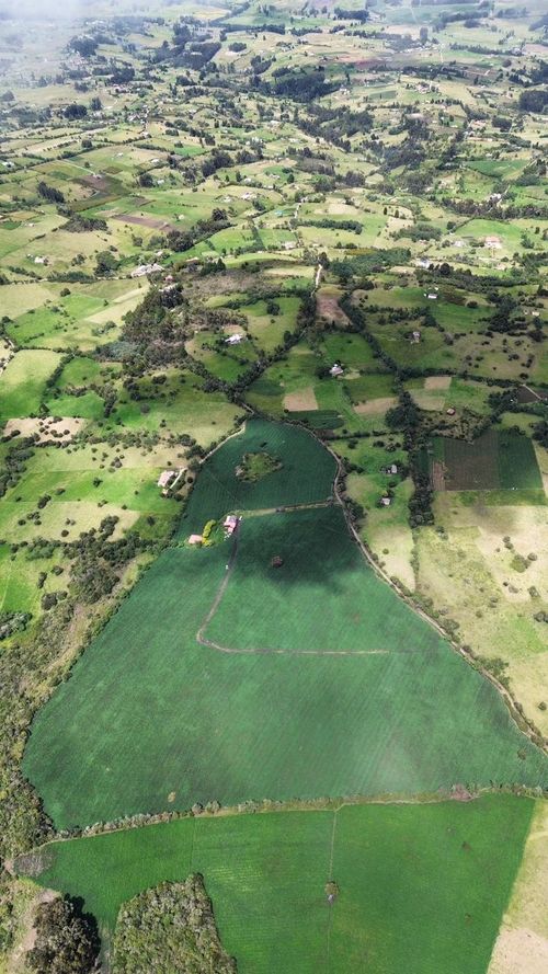 Finca en venta en Maldonado, Tunja, 89600 m² · foto 10 de 14