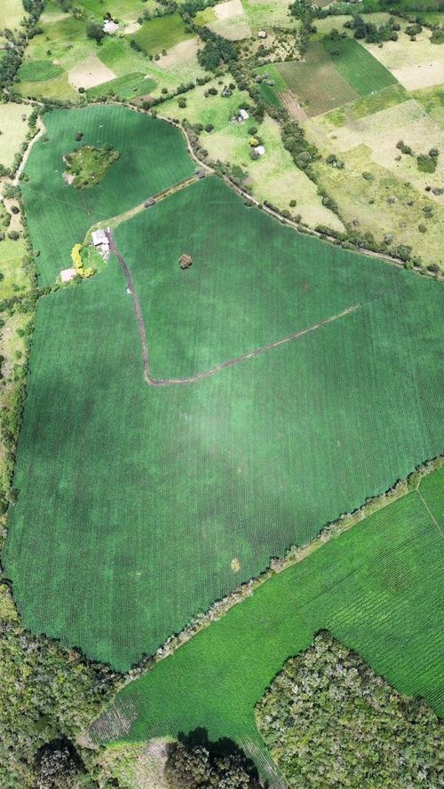 Finca en venta en Maldonado, Tunja, 89600 m² · foto 11 de 14