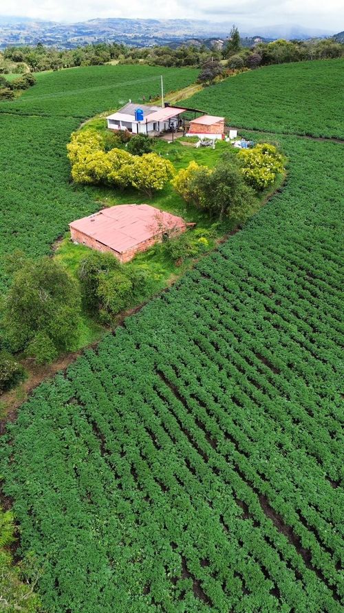 Finca en venta en Maldonado, Tunja, 89600 m² · foto 6 de 14