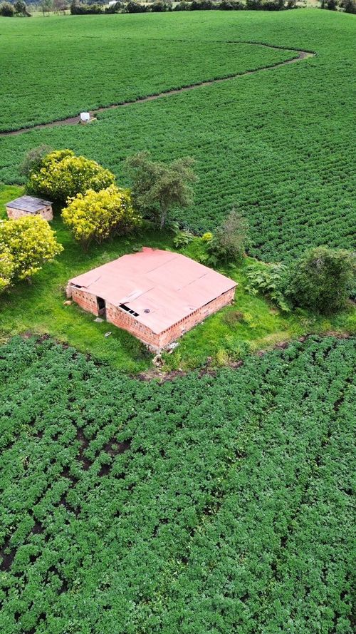 Finca en venta en Maldonado, Tunja, 89600 m² · foto 7 de 14