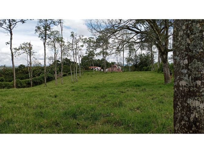 Lote en venta en El Caimo, Armenia, 6400 m² · foto 9 de 19