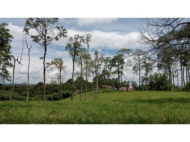 Lote en venta en El Caimo, Armenia, 6400 m² · foto 10 de 19