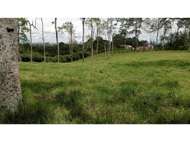 Lote en venta en El Caimo, Armenia, 6400 m² · foto 15 de 19