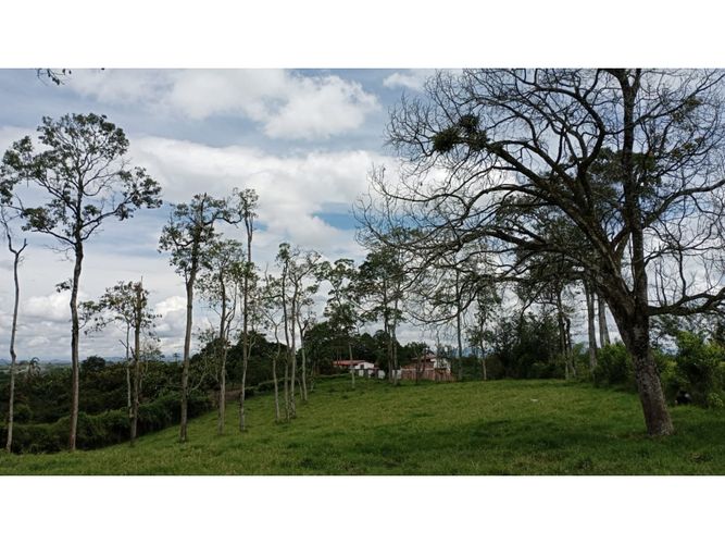Lote en venta en El Caimo, Armenia, 6400 m² · foto 16 de 19
