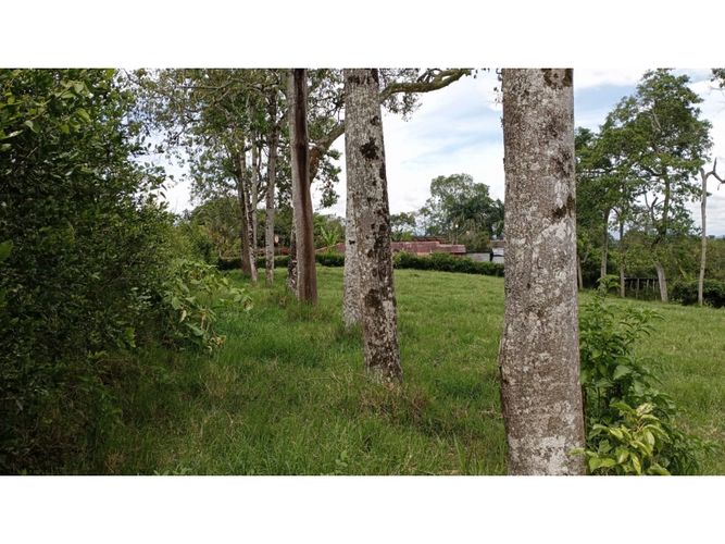 Lote en venta en El Caimo, Armenia, 6400 m² · foto 17 de 19
