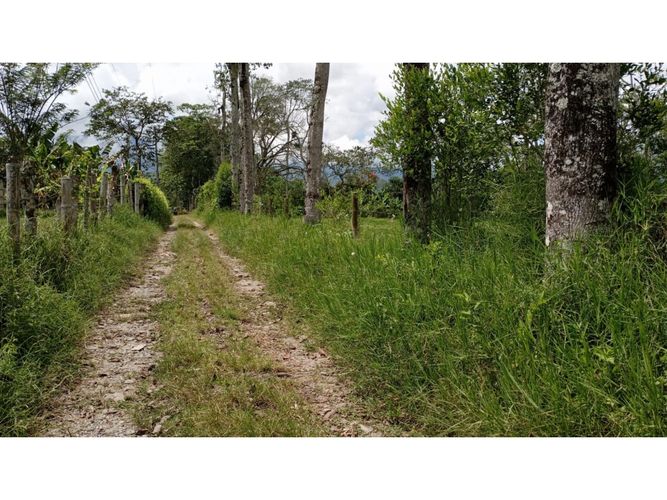 Lote en venta en El Caimo, Armenia, 6400 m² · foto 19 de 19