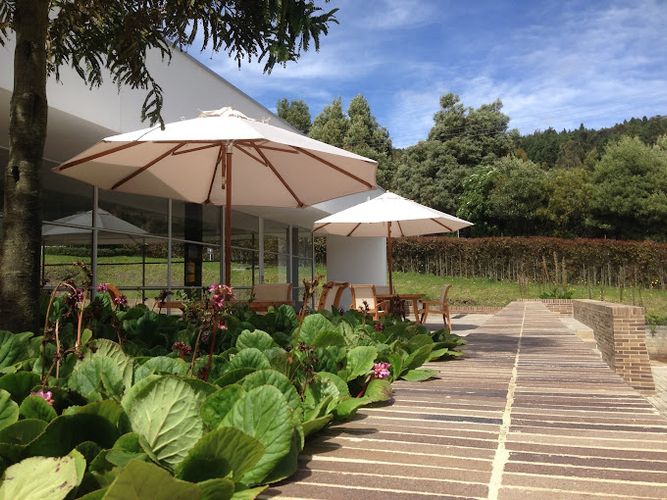 Lote en venta en Condominio Bosques Del Encenillo, La Calera · foto 9 de 24