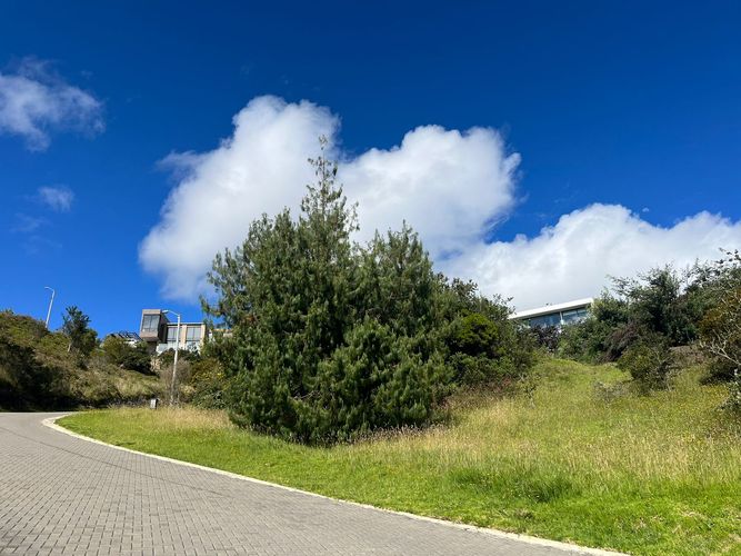 Lote en venta en Condominio Bosques Del Encenillo, La Calera · foto 11 de 24