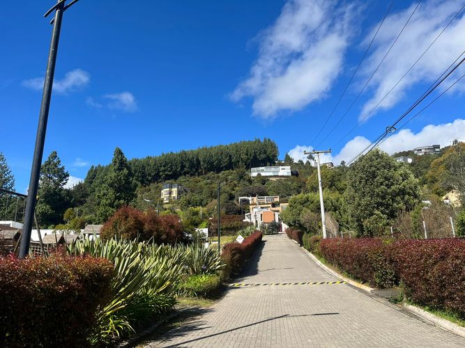 Lote en venta en Condominio Bosques Del Encenillo, La Calera · foto 12 de 24