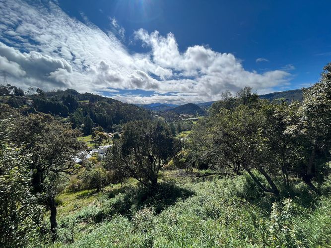 Lote en venta en Condominio Bosques Del Encenillo, La Calera · foto 14 de 24