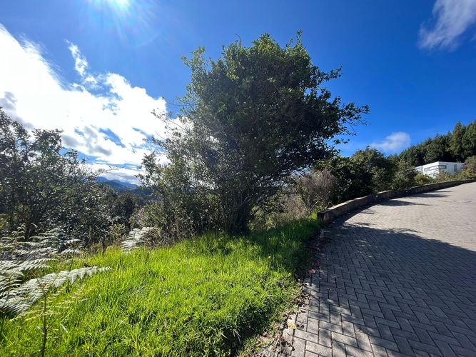 Lote en venta en Condominio Bosques Del Encenillo, La Calera · foto 23 de 24