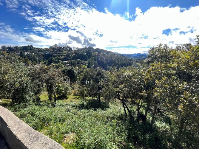 Lote en venta en Condominio Bosques Del Encenillo, La Calera · foto 24 de 24