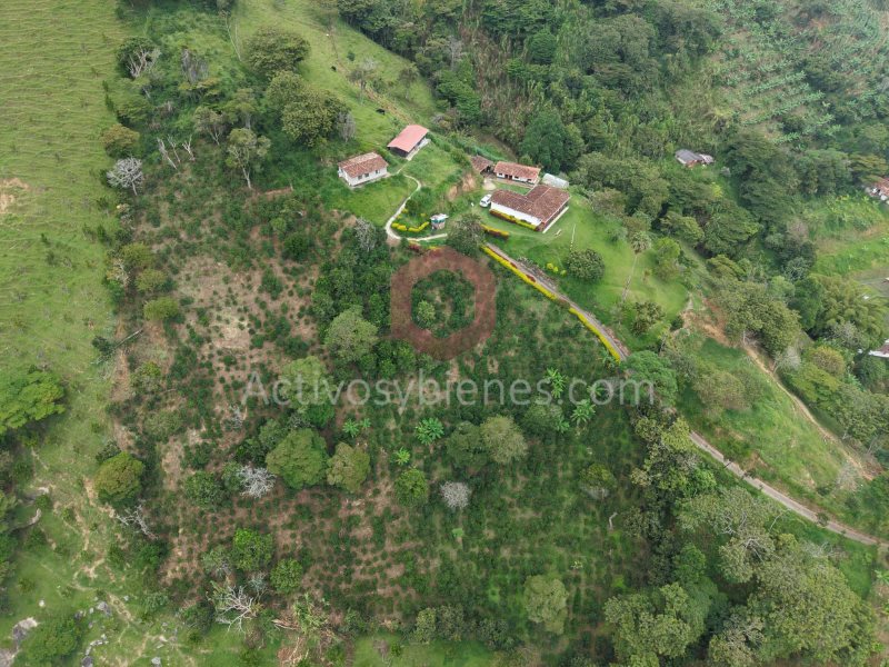 5BR Country House in Centro for Sale - 2