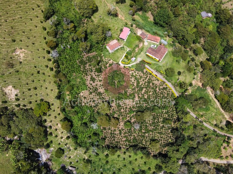 5BR Country House in Centro for Sale - 3