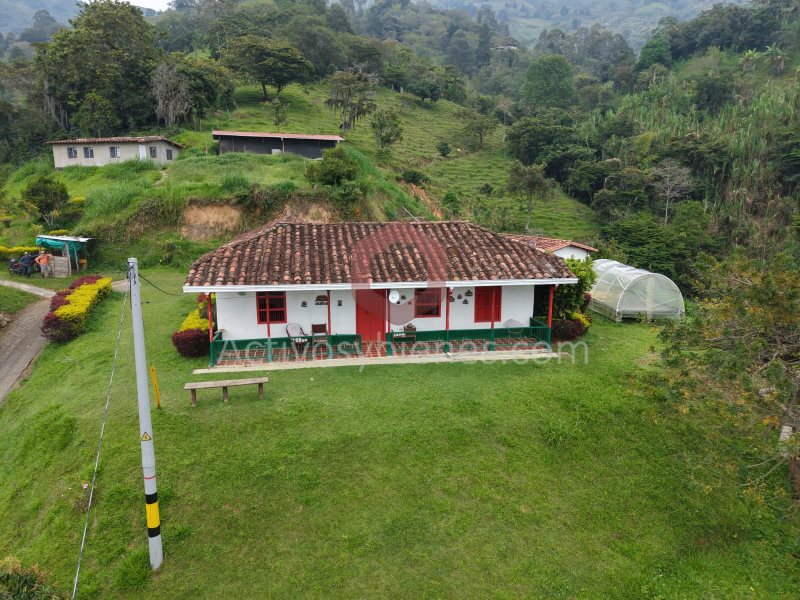 5BR Country House in Centro for Sale - 4